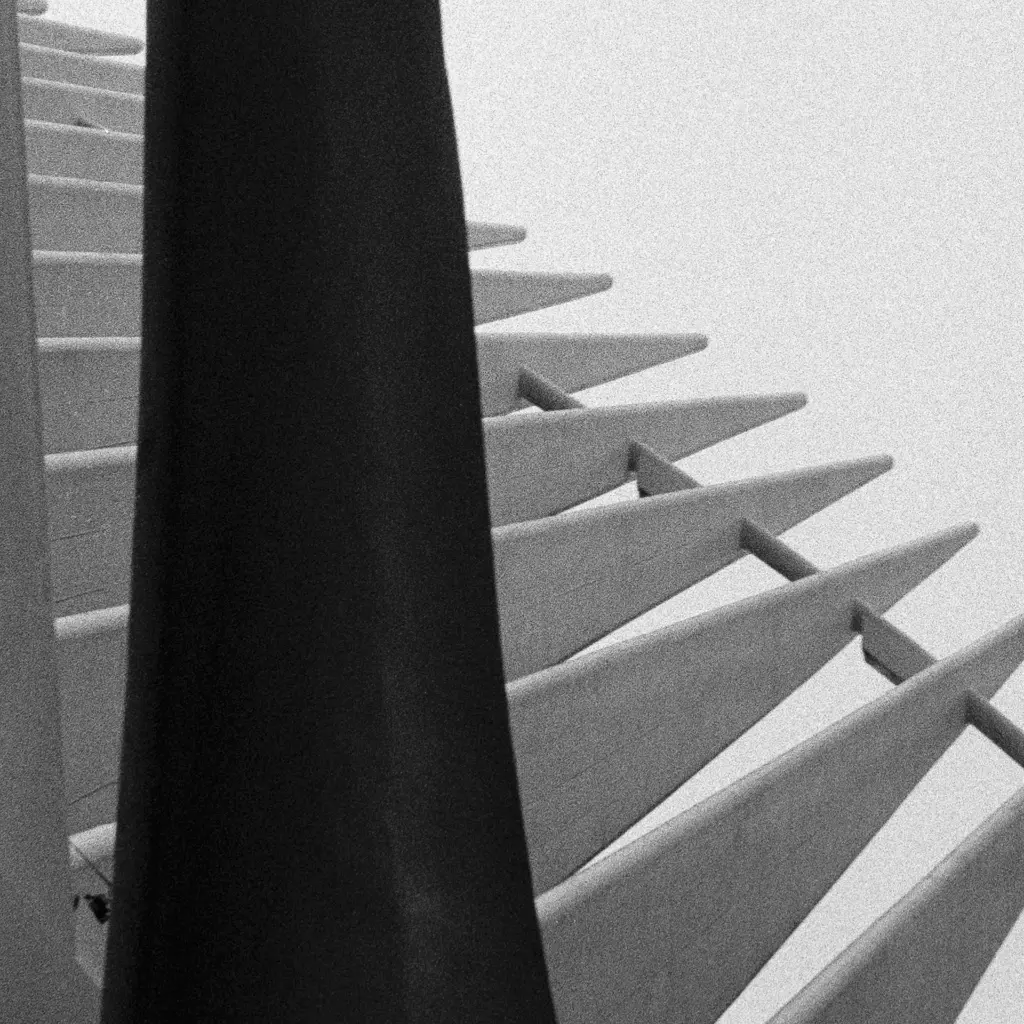 Détails_NY sans titre _3.webp