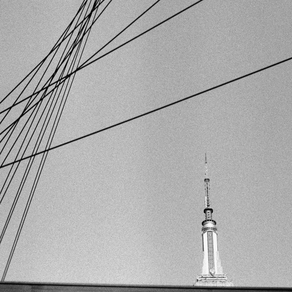 Détails_NY sans titre _4.webp