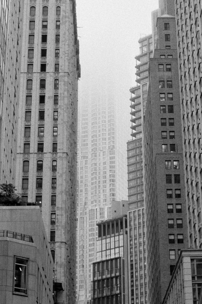 IMG_0175 (recadré) .webp