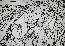 Dessin_Antoine_LHM_Pensées_arborescente _détails_2.webp
