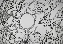 Dessin_Antoine_LHM_Pensées_arborescente _détails_3.webp