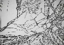 Dessin_Antoine_LHM_Pensées_arborescente _détails_1.webp