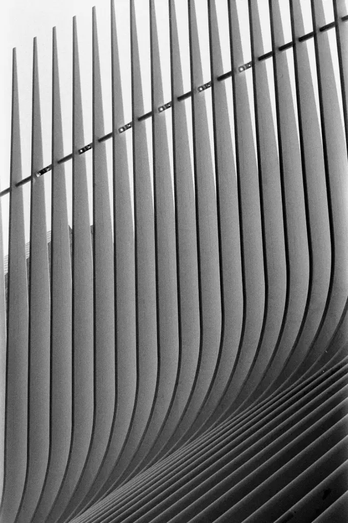 Sans titre (2025) NY #1