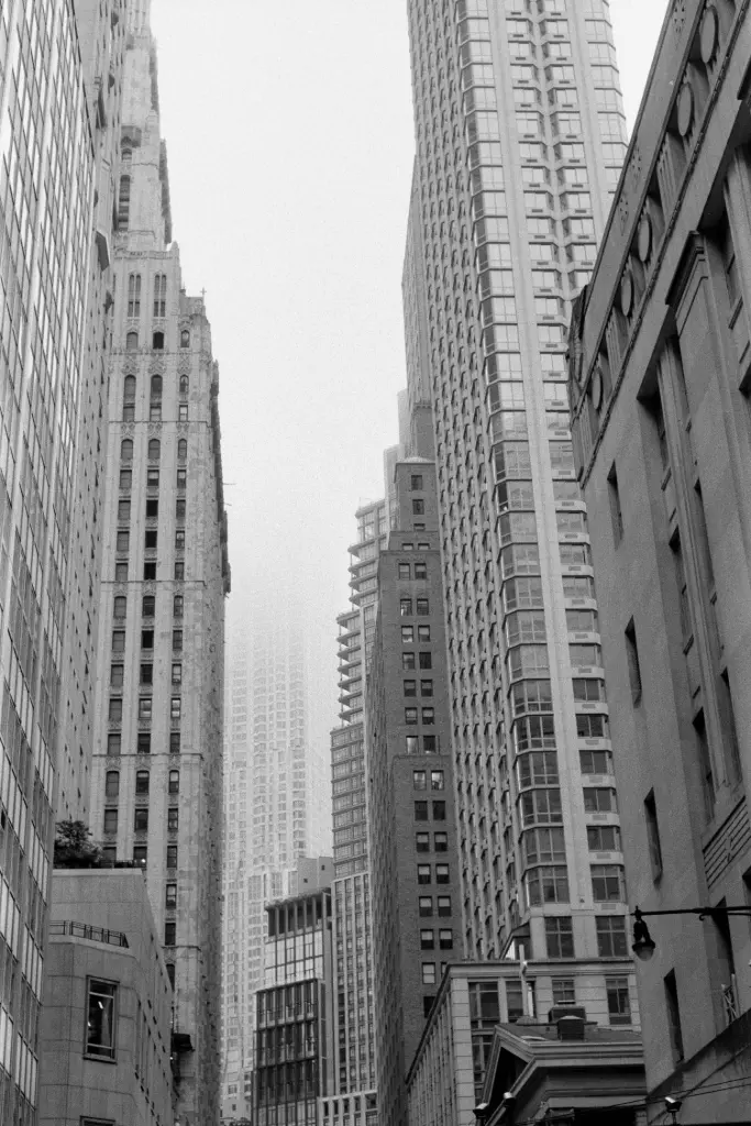 Sans titre (2025) NY #6